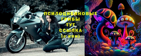мяу мяу мука Беломорск