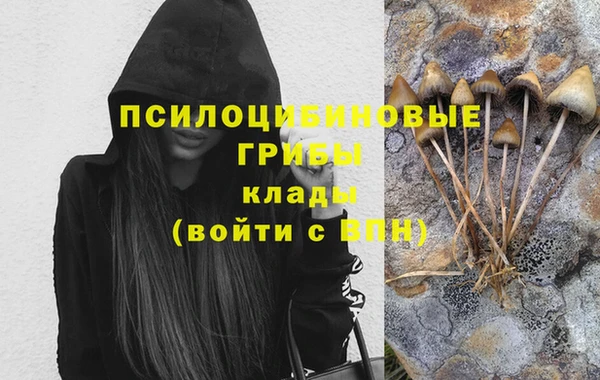 ALPHA PVP Белокуриха