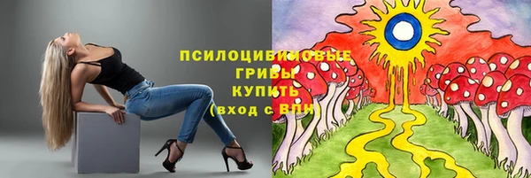 ALPHA PVP Белокуриха
