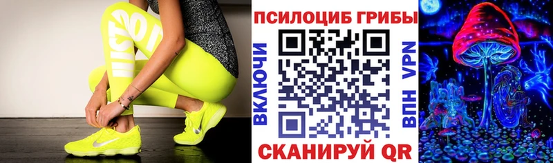 нарко площадка формула  Болгар  Псилоцибиновые грибы прущие грибы 