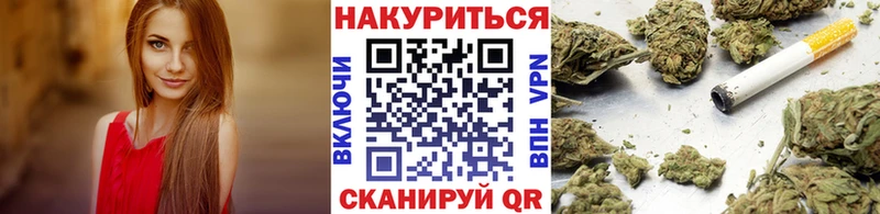 Канабис планчик  Болгар 